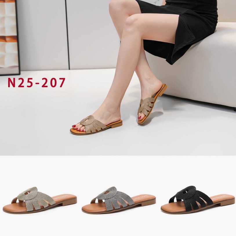 N25-207