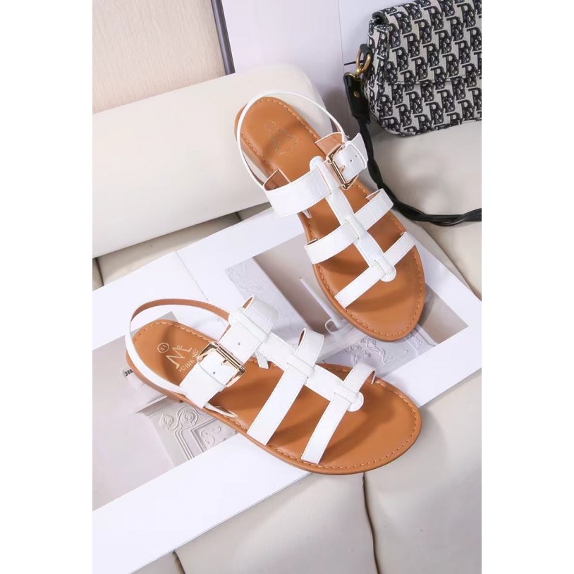 DM512-53 Grande pointure