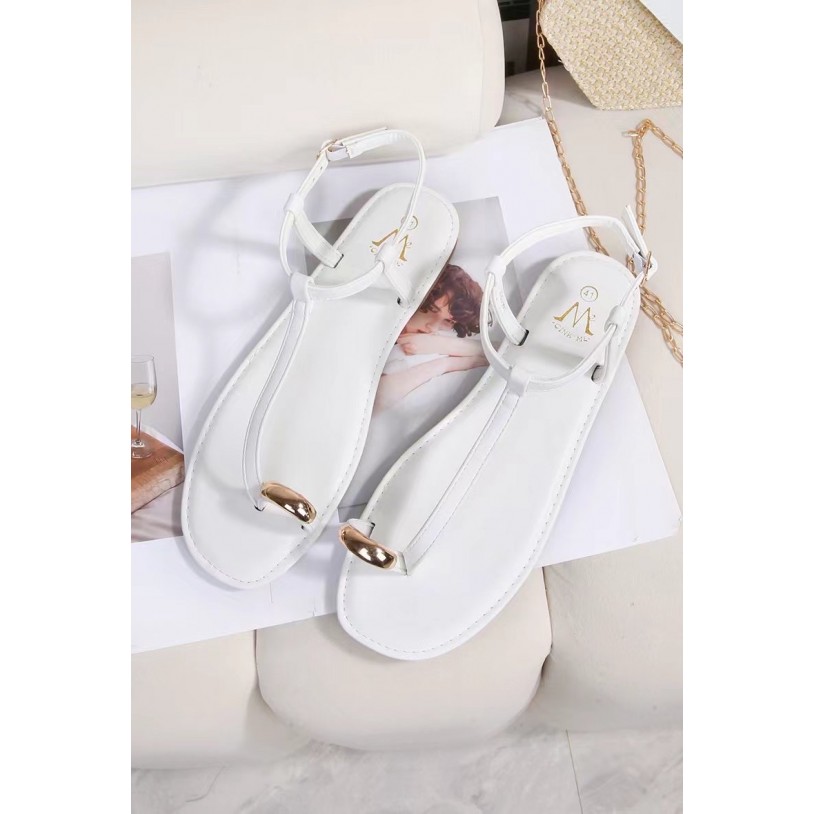 DM-7G17 Grande pointure