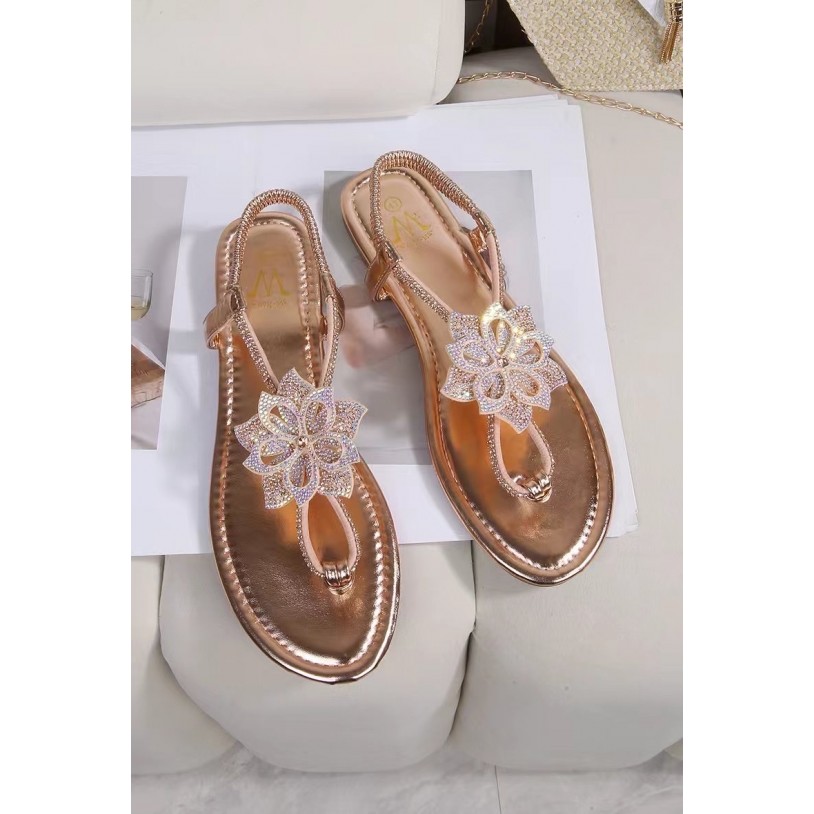 DM-7G19 Grande pointure