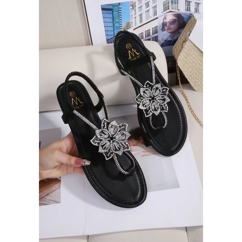 DM-7G19 Grande pointure