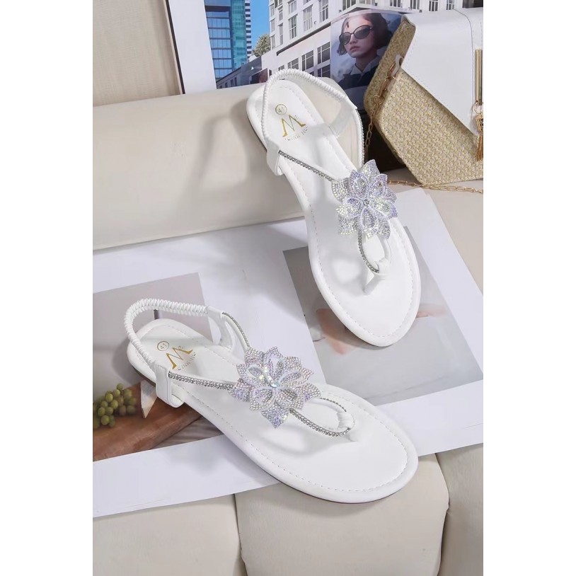 DM-7G19 Grande pointure