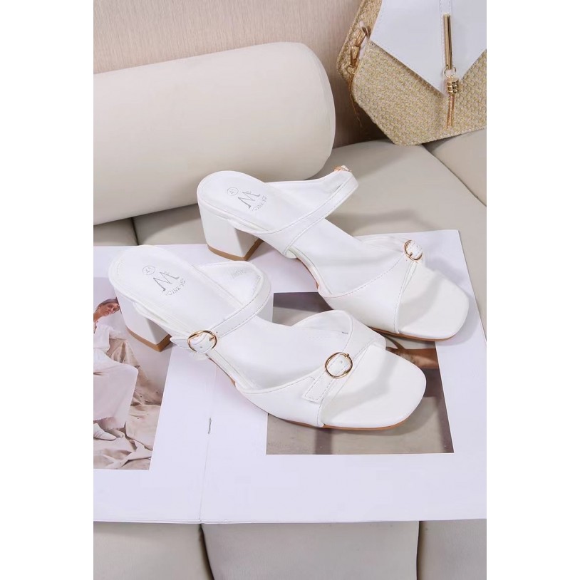 DMS313-50 Grande pointure