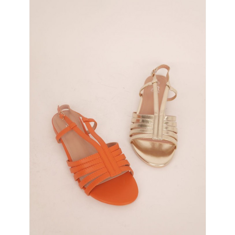 DMS5631-23V (Grande pointure)