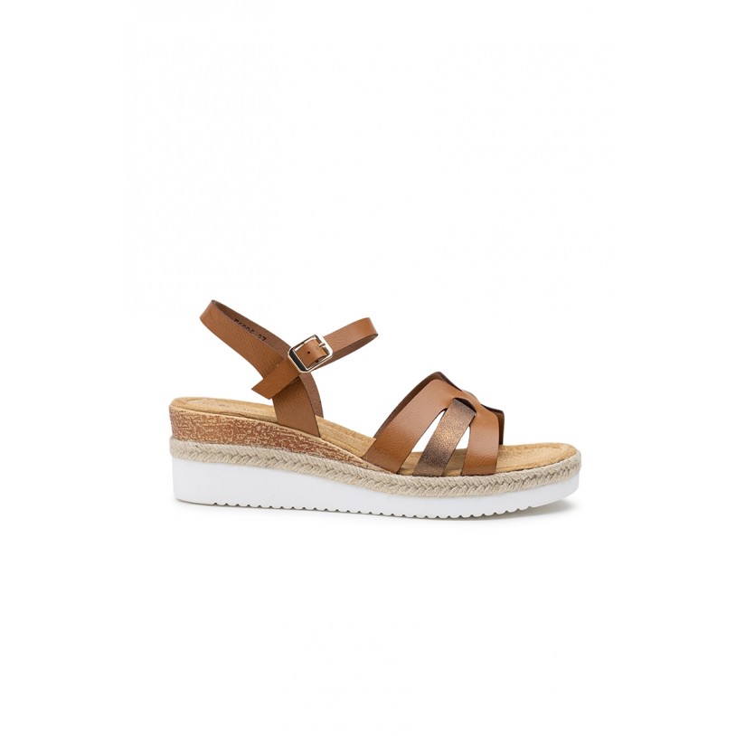 F6895.7.3kg.64.5-19.6-59