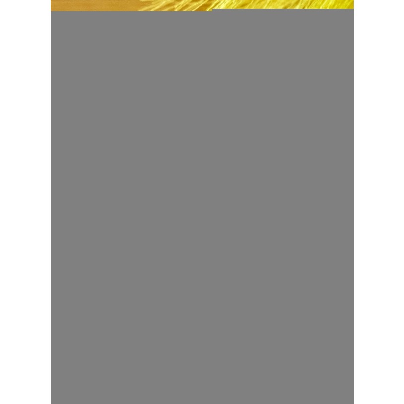 BA110-45-40 BLANC