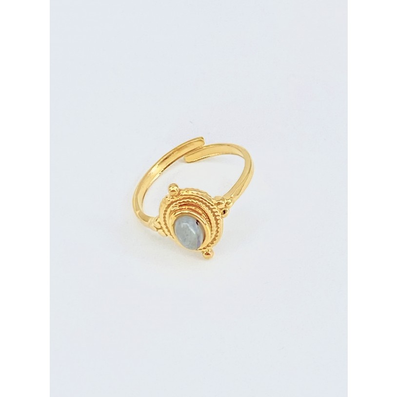 BAGUE45-36