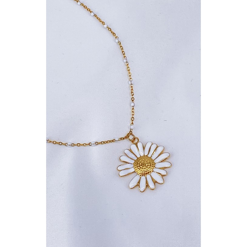 COLLIER45-6