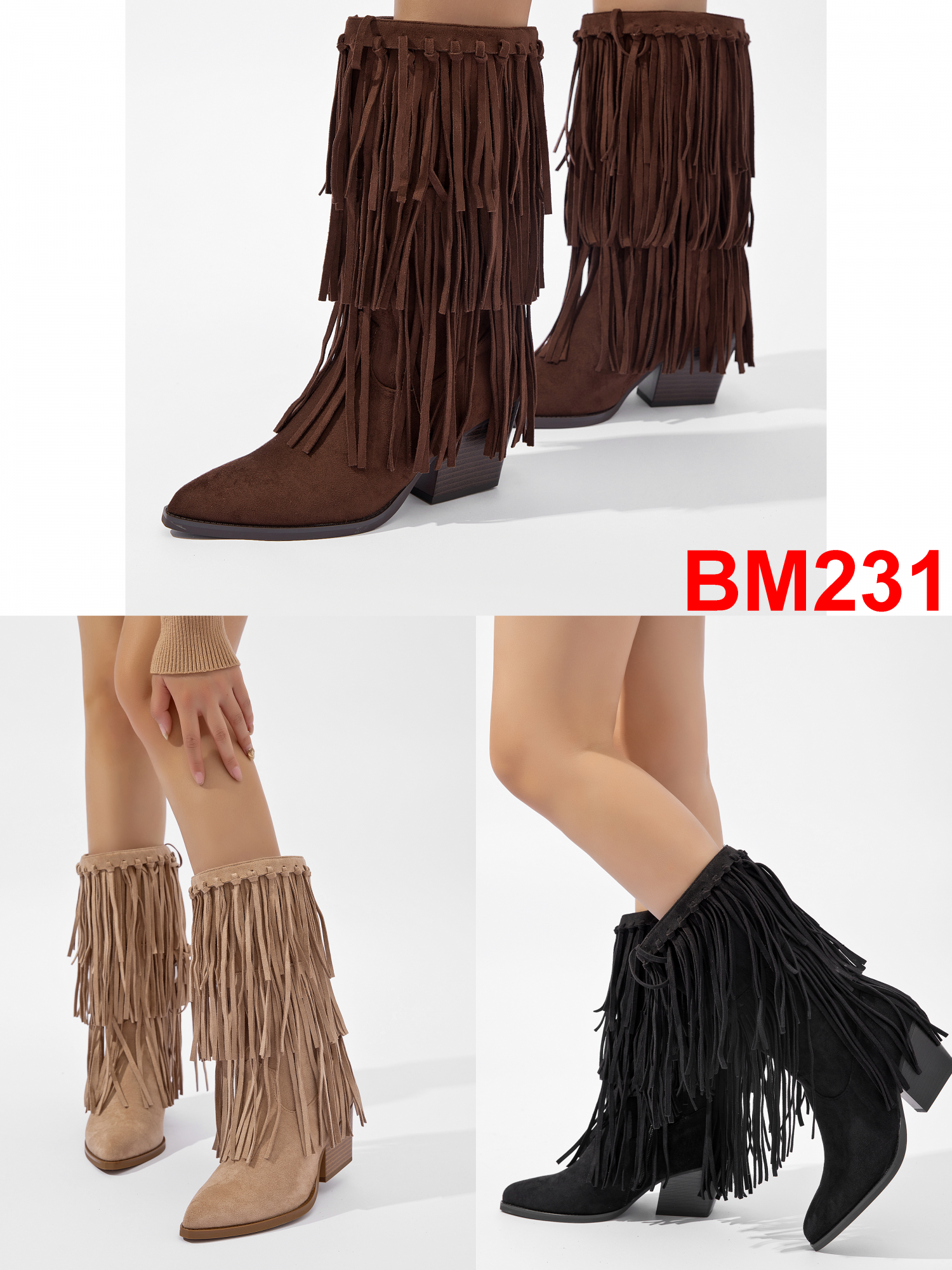 BM231
