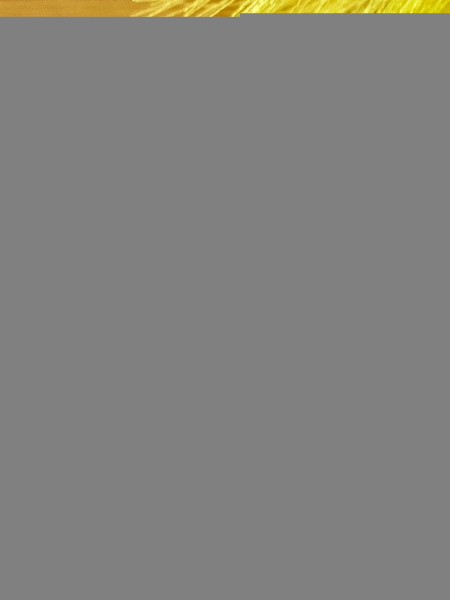 BA110-45-40 BLANC