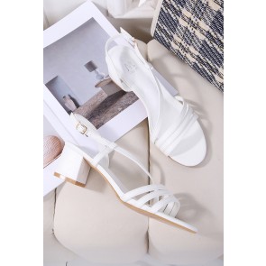 DMS313-8 Grande pointure