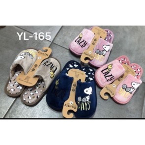 YL-165